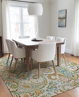 Addison Chantille Machine Washable ACN533 3'x5' Area Rug