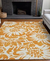 Addison Chantille Machine Washable ACN551 8'x10' Area Rug
