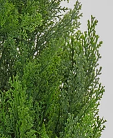 National Tree Company 50 Cedar Tree in Dark Green Round Growers Pot