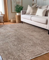 Dalyn Vienna VI5 9'x13'2 Area Rug