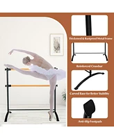 Sugift 4 Foot Portable Freestanding Double Ballet Barre