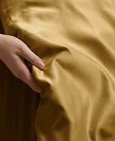 Superior Rayon From Bamboo 300 Thread Count Solid Duvet Cover Set