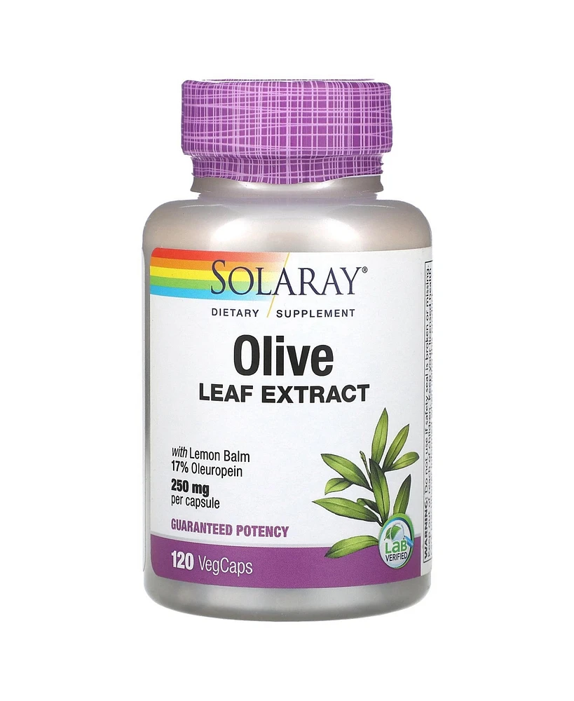 Solaray Olive Leaf Extract 250 mg - 120 VegCaps - Assorted Pre