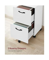 Slickblue Compact Industrial File Cabinet with 2 Drawers for Modern Storage Solutions