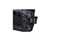 Canon Eos R3 Mirrorless Camera
