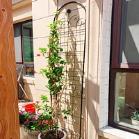 Rustproof Rose Trellis for Climbing Plants 86.7"x19.7"