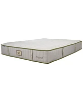 Paramount Nature Spa Serenity 2.0 12" Cushion Firm Mattress