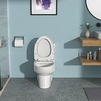 Ceramic One Piece Toilet, Dual Flush With Soft Closing Seat 0001