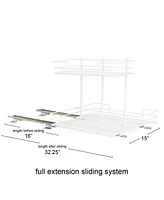 Household Essentials Glidez Paint-Finished Steel Pull-Out/Slide-Out Storage Organizer with Plastic Liners for Under Sink or Cabinet 2 -Tier Design