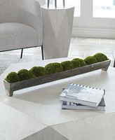 Uttermost Canal Moss