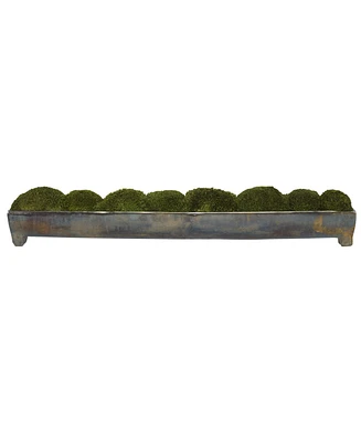 Uttermost Canal Moss, Large Centerpiece