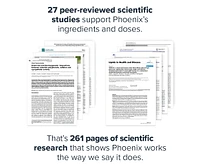 Phoenix Natural Fat Burner Supplement - Without Caffeine - 30 Servings