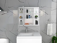 Roseburg 6-Shelf Medicine Cabinet With Mirror