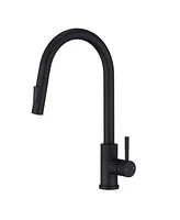 Mondawe Kitchen Sink Faucet with Pull Out Sprayer - Single Hole Kitchen Faucet with Solid Brass Body, Pull Out Sprayer with Two Function Spray