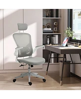 Vinsetto High Back Mesh Chair, Home Office Task Computer Chair with Adjustable Height, Lumbar Back Support, Headrest, and Arms, Grey