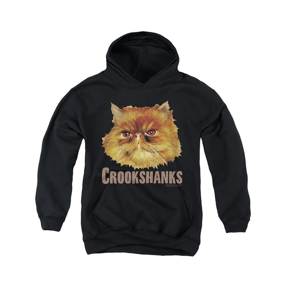 Harry Potter Boys Youth Crookshanks Color Pull Over Hoodie / Hooded Sweatshirt