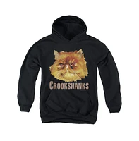 Harry Potter Boys Youth Crookshanks Color Pull Over Hoodie / Hooded Sweatshirt