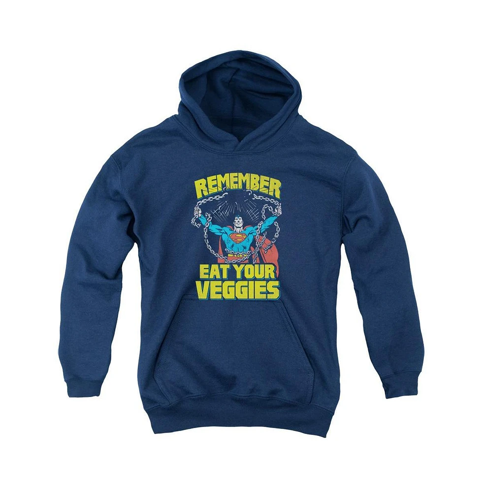 Superman Boys Youth Veggie Power Pull Over Hoodie / Hooded Sweatshirt