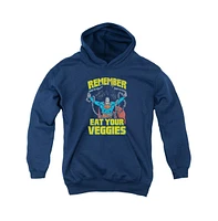 Superman Boys Youth Veggie Power Pull Over Hoodie / Hooded Sweatshirt