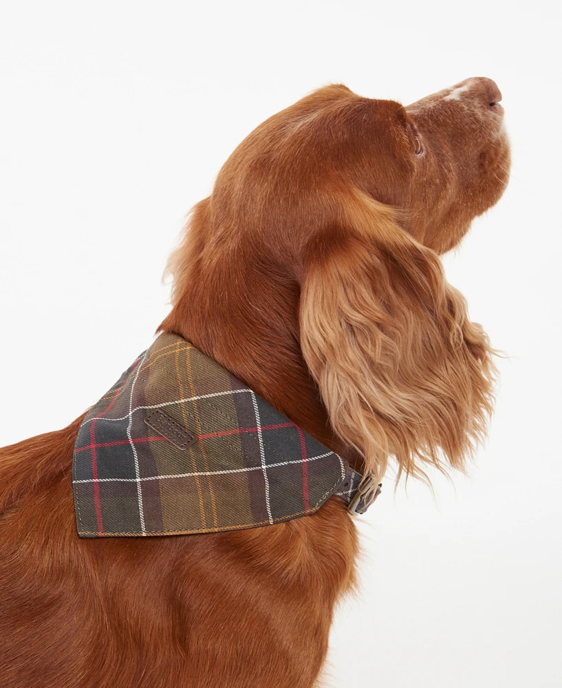 Barbour Tartan Dog Bandana