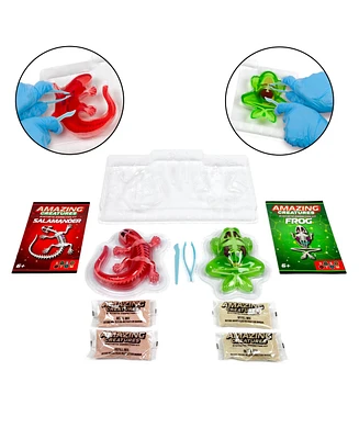 World Tech Toys Amazing Creatures Synthetic Dissection Kit - Salamander Frog Double Pack