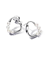 Pandora Silver Shaped Circle Treated Freshwater Cultured Pearls Stud Earrings