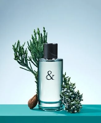 Tiffany Co. Mens Tiffany Love Collection