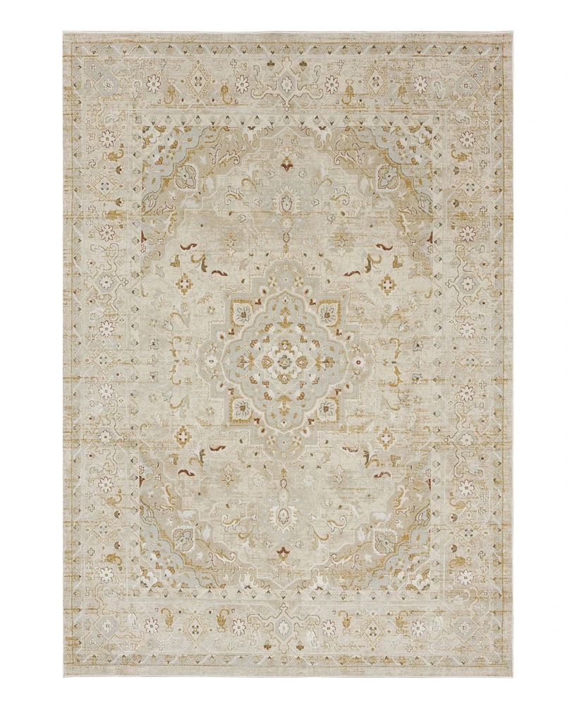 Karastan Windermere Edenhall 7'10x10'3 Area Rug