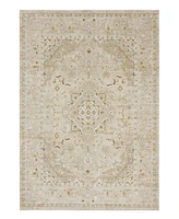 Karastan Windermere Edenhall 7'10x10'3 Area Rug