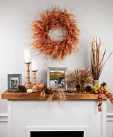 Northlight Peachy Pampas Grass Artificial Fall Harvest Wreath 24-Inch - Unlit