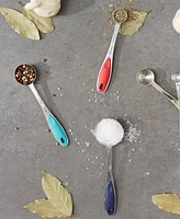 Rsvp International Endurance Stainless Steel 5 Piece Measuring Spoon Set - Color Handles