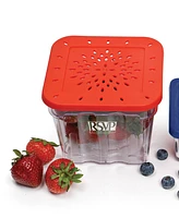 Rsvp International 2 Piece Bisphenol A-Free Plastic Berry Keeper Set