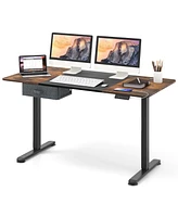 Costway Electric Standing Desk 55'' x 28'' Height Adjustable Sit Stand with Usb Charging Port