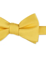 Tayion Collection Men's Solid Color Bow Tie