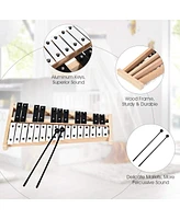 27 Note Glockenspiel Xylophone with 2 Rubber Mallets