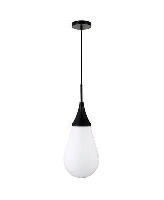 Hudson & Canal Ambrose 8.63" Wide Pendant with Glass Shade