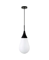 Hudson & Canal Ambrose 8.63" Wide Pendant with Glass Shade