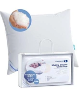 Continental Bedding Siberian Luxury Down Pillows Pack Of 1 800 Fp Firm