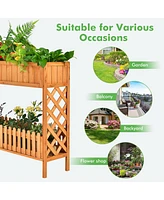 Gymax 2-Tier Raised Garden Bed Elevated Wood Planter Box for Vegetable Flower Herb