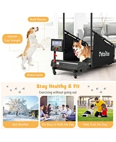 Costway Dog Treadmill for Small/Medium Dogs Indoors Pet Running Training Machine