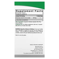 Nature's Answer Dong Quai 500 mg - 90 Vegetarian Capsules