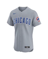 Nike Men's Chicago Cubs Road Vapor Premier Elite Patch Jersey