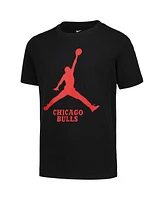 Jordan Big Boys and Girls Chicago Bulls Essential Jumpman Logo T-Shirt