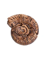 Kaplan Early Learning Magnetic Fossil 3D Puzzle - Ammonite - 6 Pieces