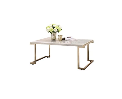 Simplie Fun Boice Ii Coffee Table in Faux Marble & Champagne