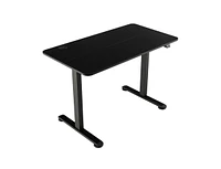 Slickblue Electric Standing Desk Adjustable Stand up Computer Anti-collision