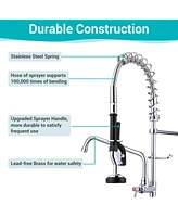 Aquaterior Wall Mount Pre-Rinse Faucet Kitchen Sink 26" Height Sprayer Home