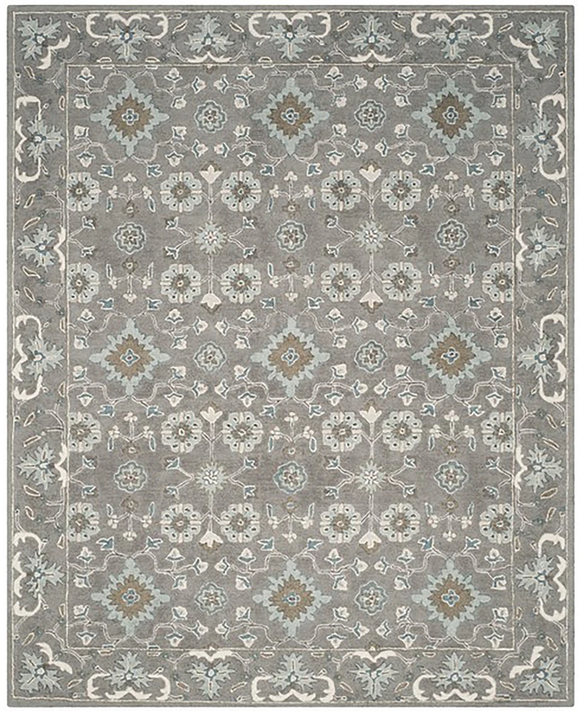 Safavieh Blossom Ii BLM218 6'x9' Area Rug