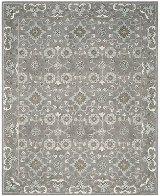 Safavieh Blossom Ii BLM218 6'x9' Area Rug