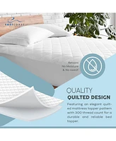 East Coast Bedding Queen Size Fitted Mattress Protector Quilted Soft 300TC Cotton